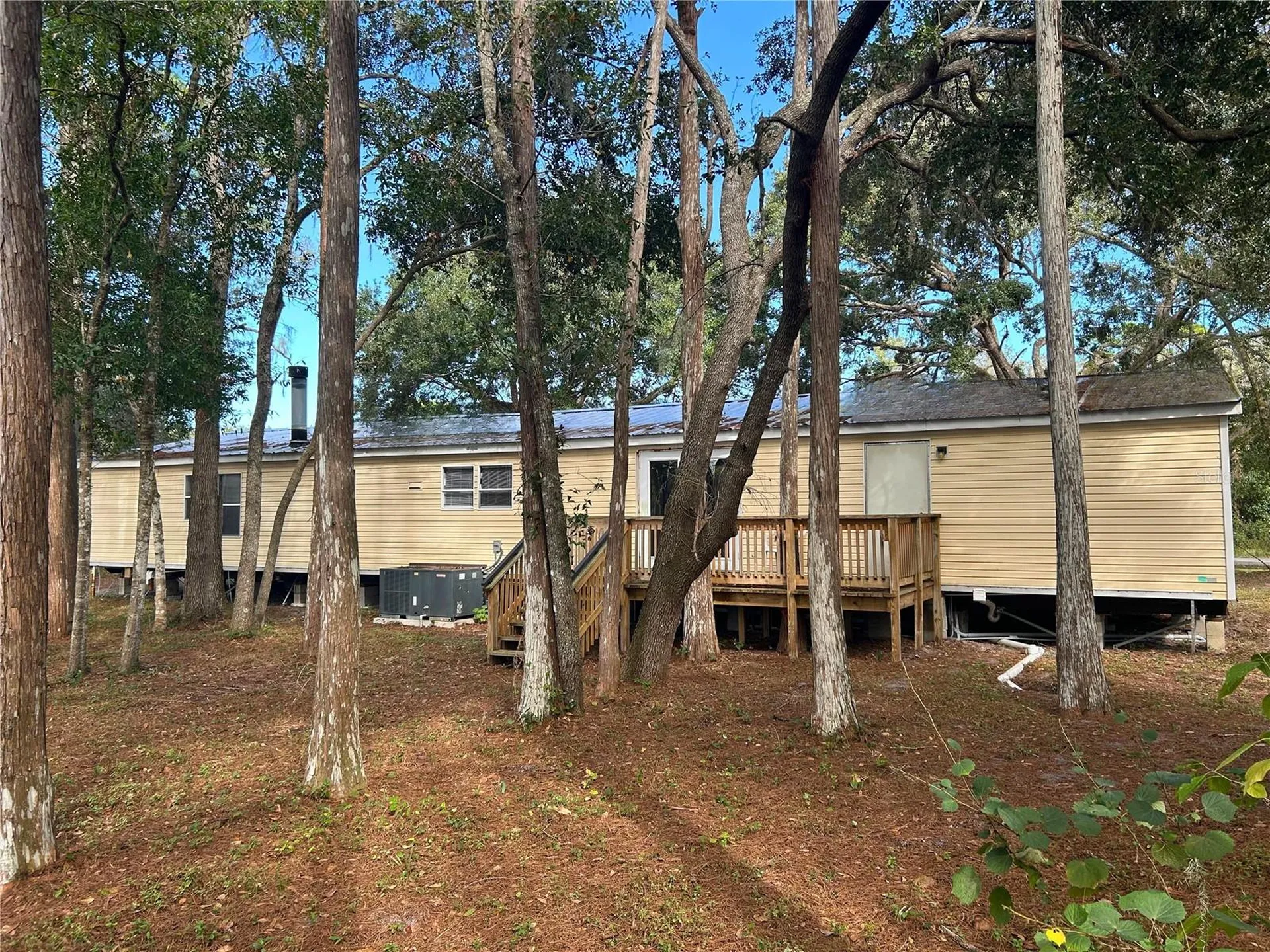 9867 Jerome Drive New Port Richey FL 34654