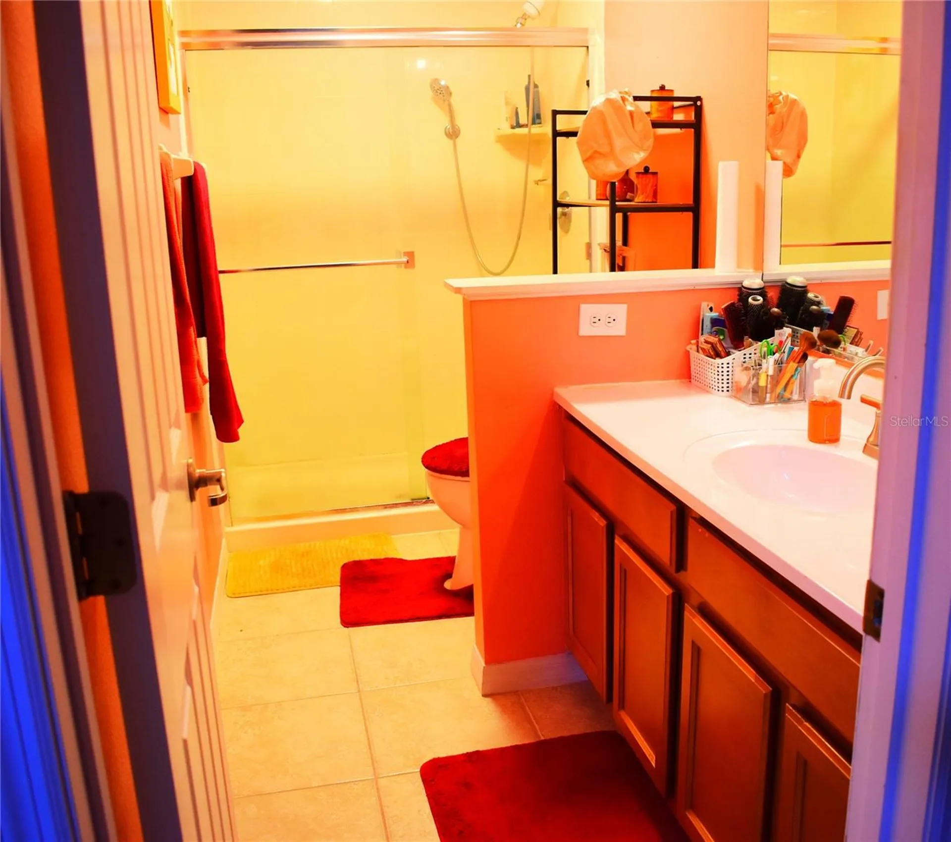 13436 Starry Night Court Orlando FL 32824