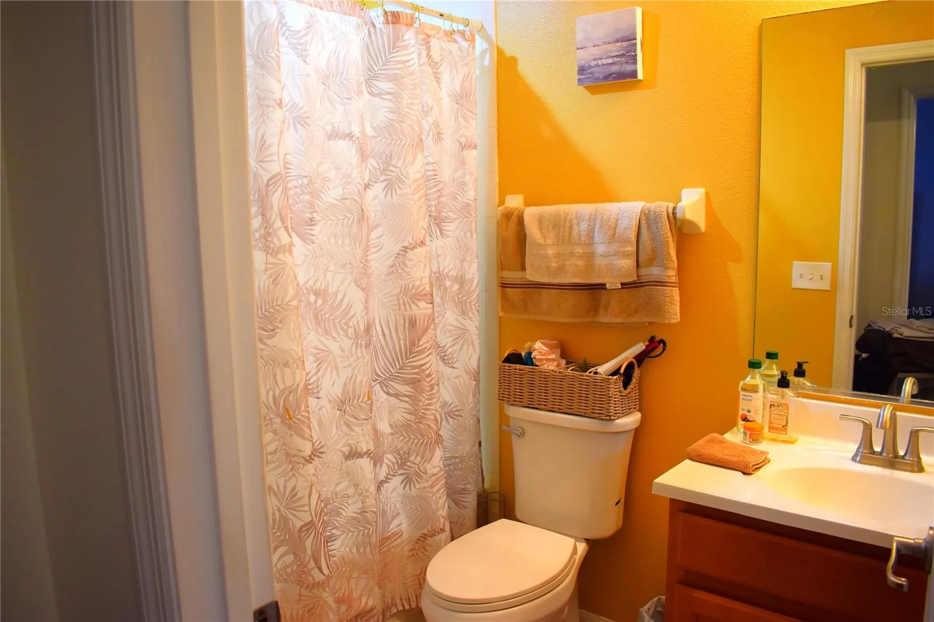13436 Starry Night Court Orlando FL 32824