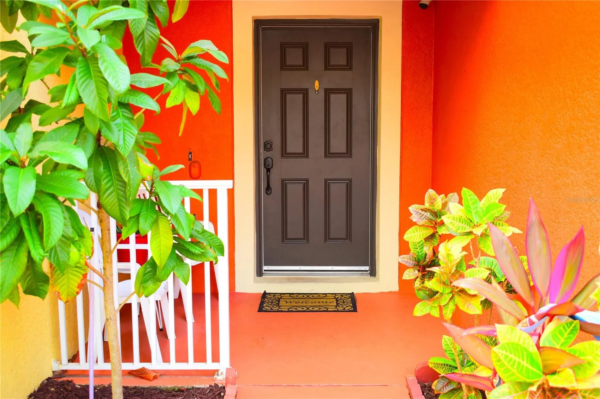 13436 Starry Night Court Orlando FL 32824