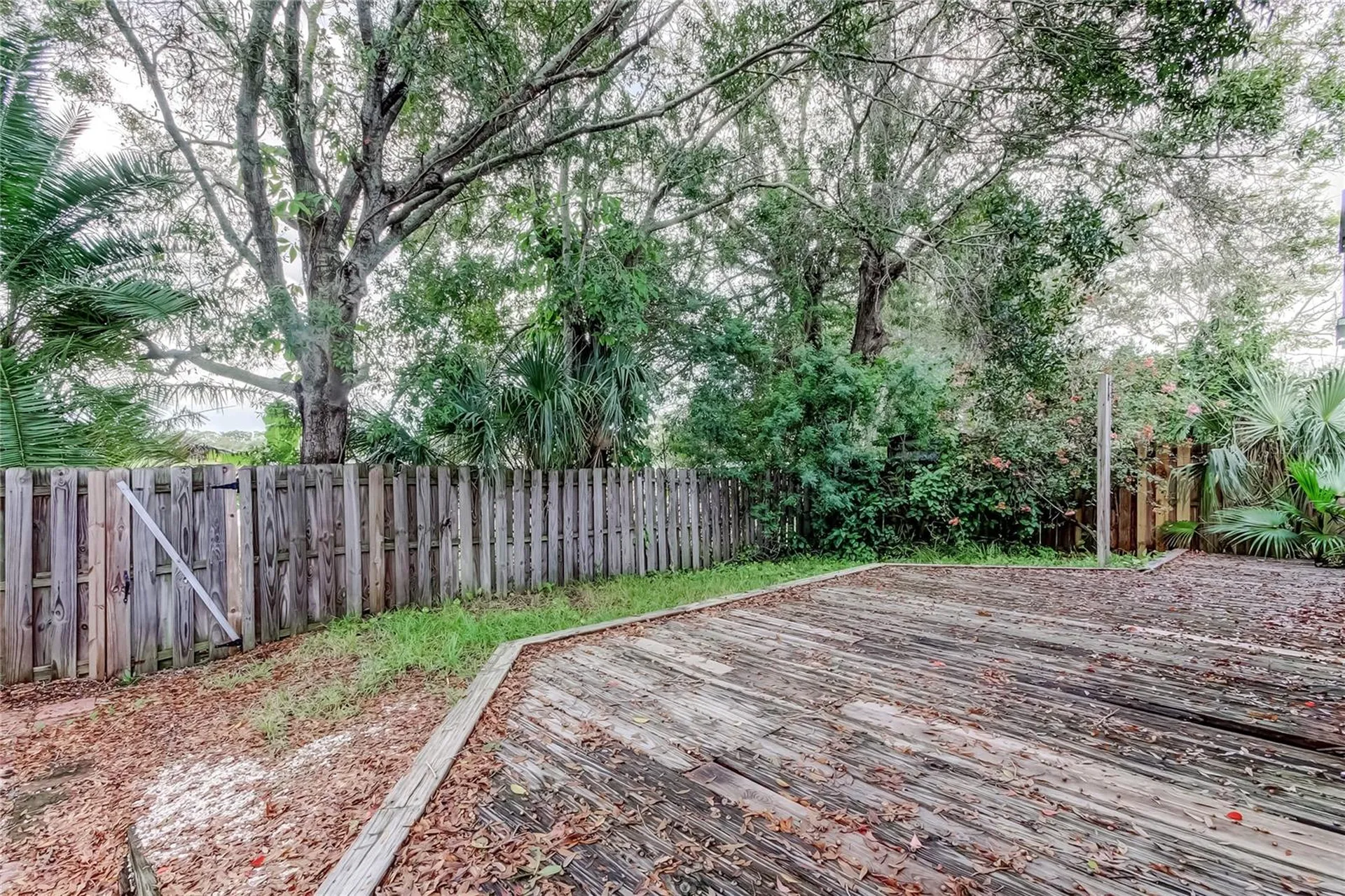 206 Bedford Street Oldsmar FL 34677