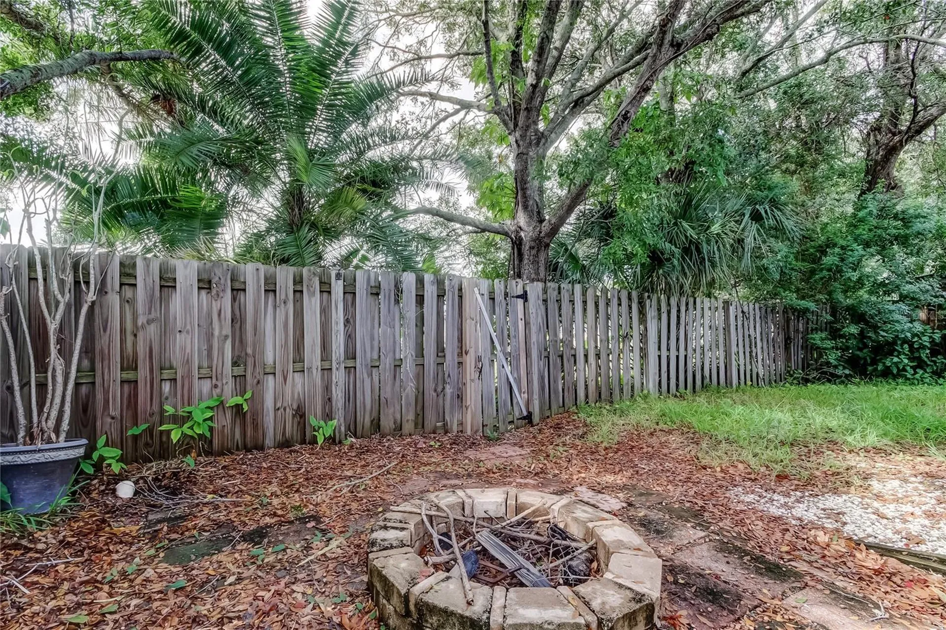 206 Bedford Street Oldsmar FL 34677