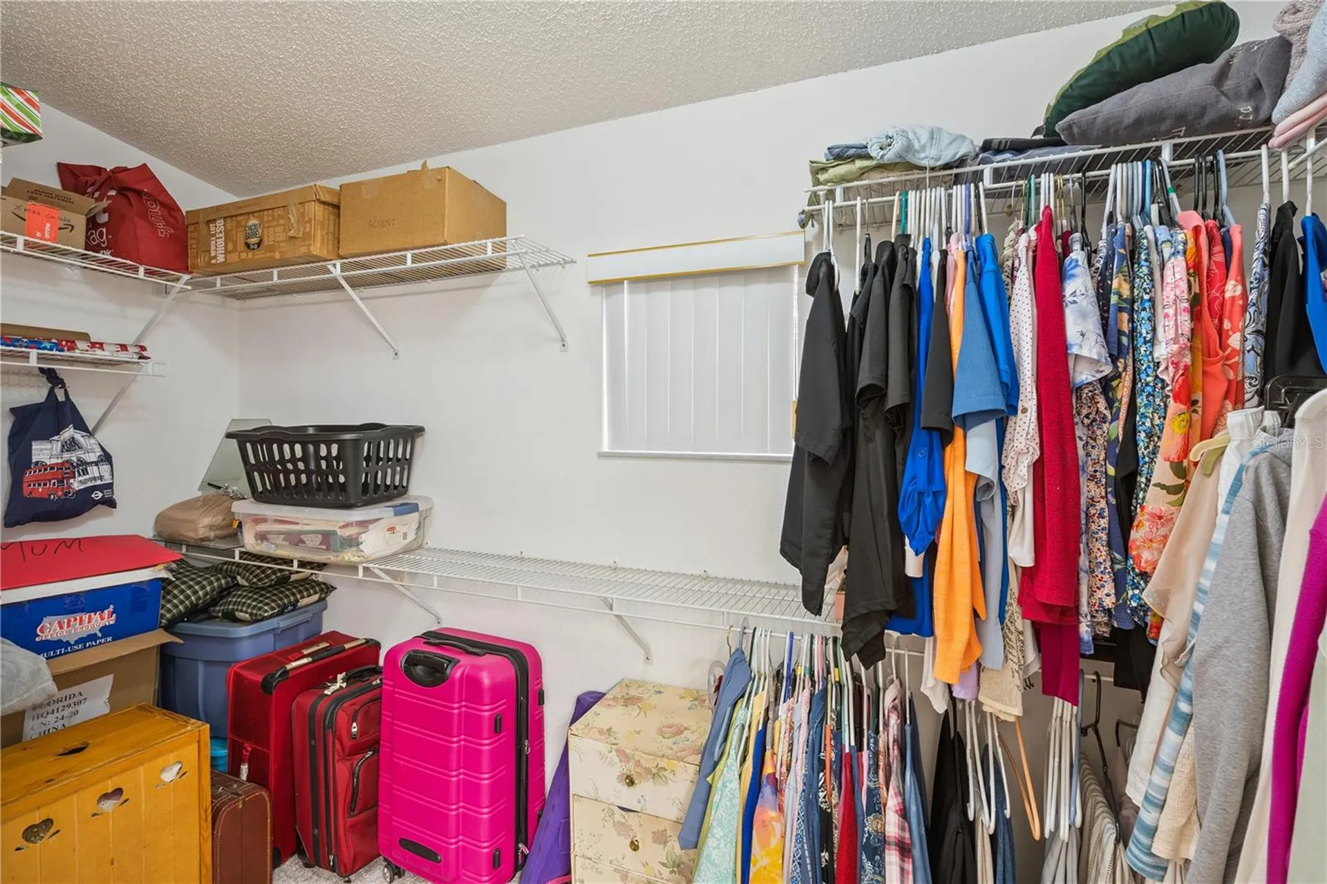 25720 Belle Alliance Leesburg FL 34748