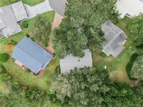 25720 Belle Alliance Leesburg FL 34748