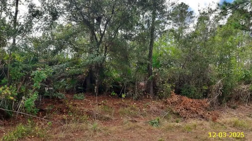 23475 Moses Court Punta Gorda FL 33980