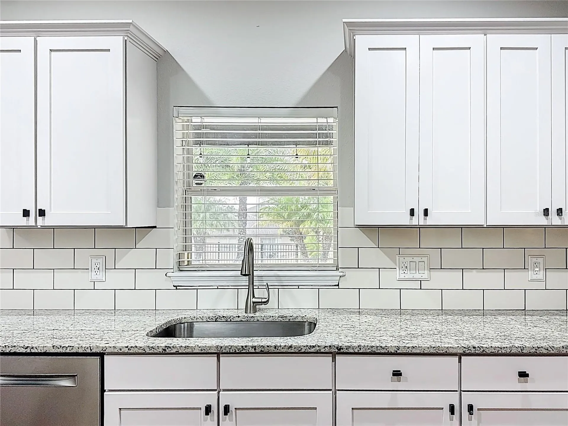 30409 Tokara Terrace Mount Dora FL 32757