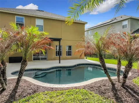 30409 Tokara Terrace Mount Dora FL 32757