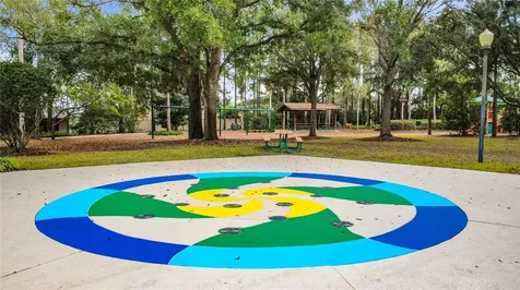 30409 Tokara Terrace Mount Dora FL 32757