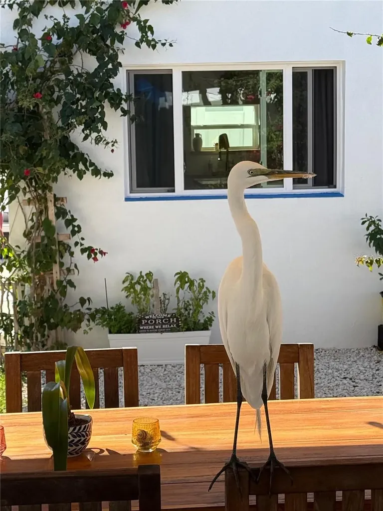 14032 N Bayshore Drive Madeira Beach FL 33708