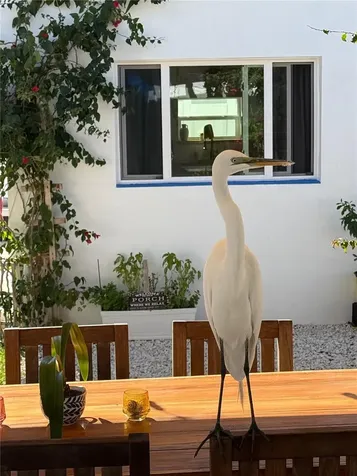 14032 N Bayshore Drive Madeira Beach FL 33708
