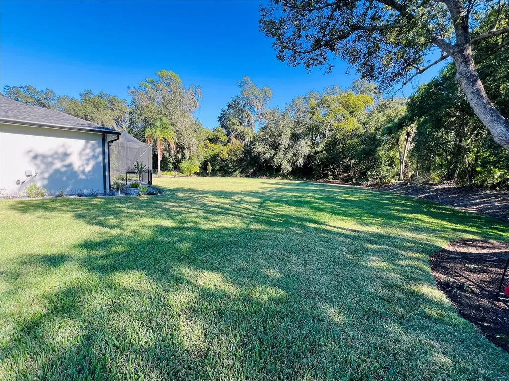 3160 Oakpark Drive Lakeland FL 33803