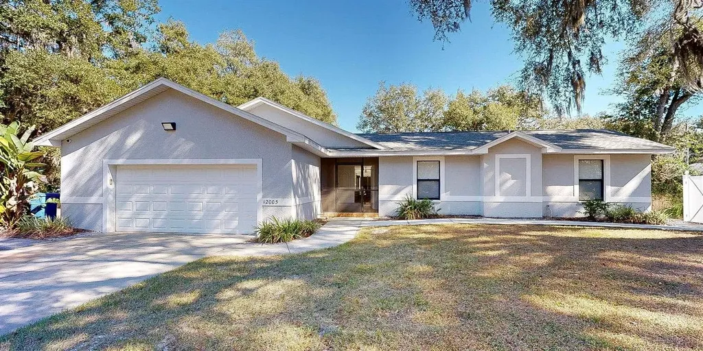 12005 Deerfoot Place Thonotosassa FL 33592
