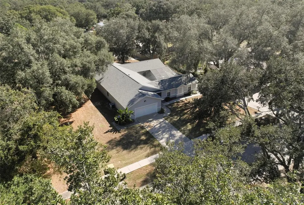 12005 Deerfoot Place Thonotosassa FL 33592