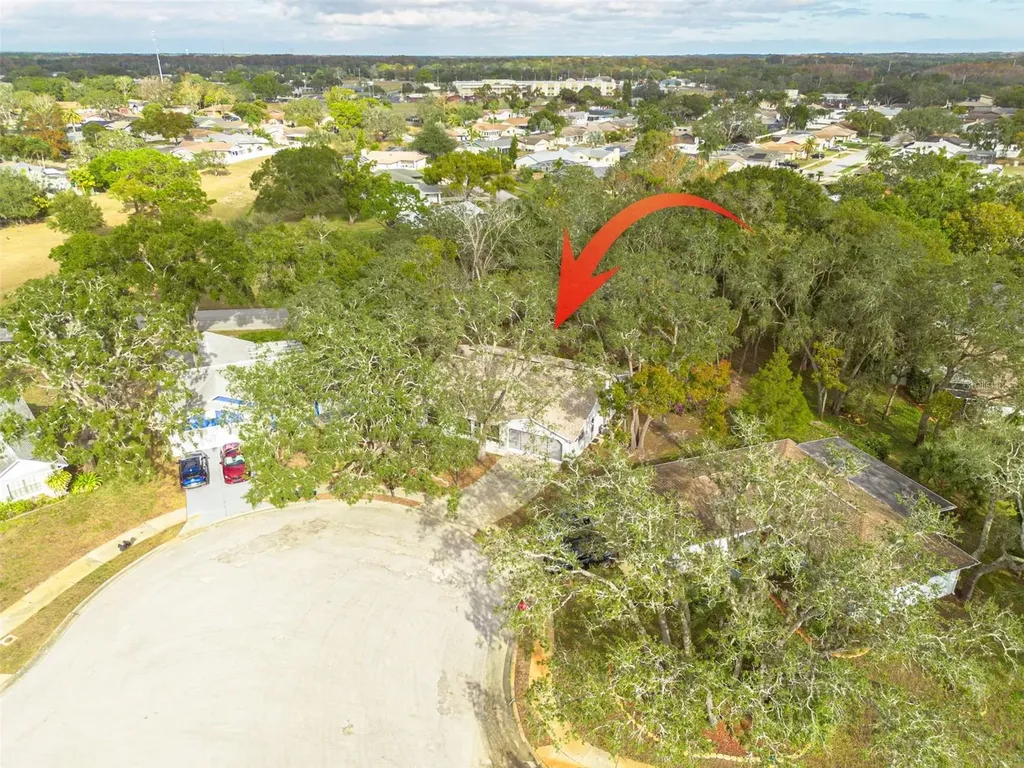 8619 Gold Pine Drive Port Richey FL 34668