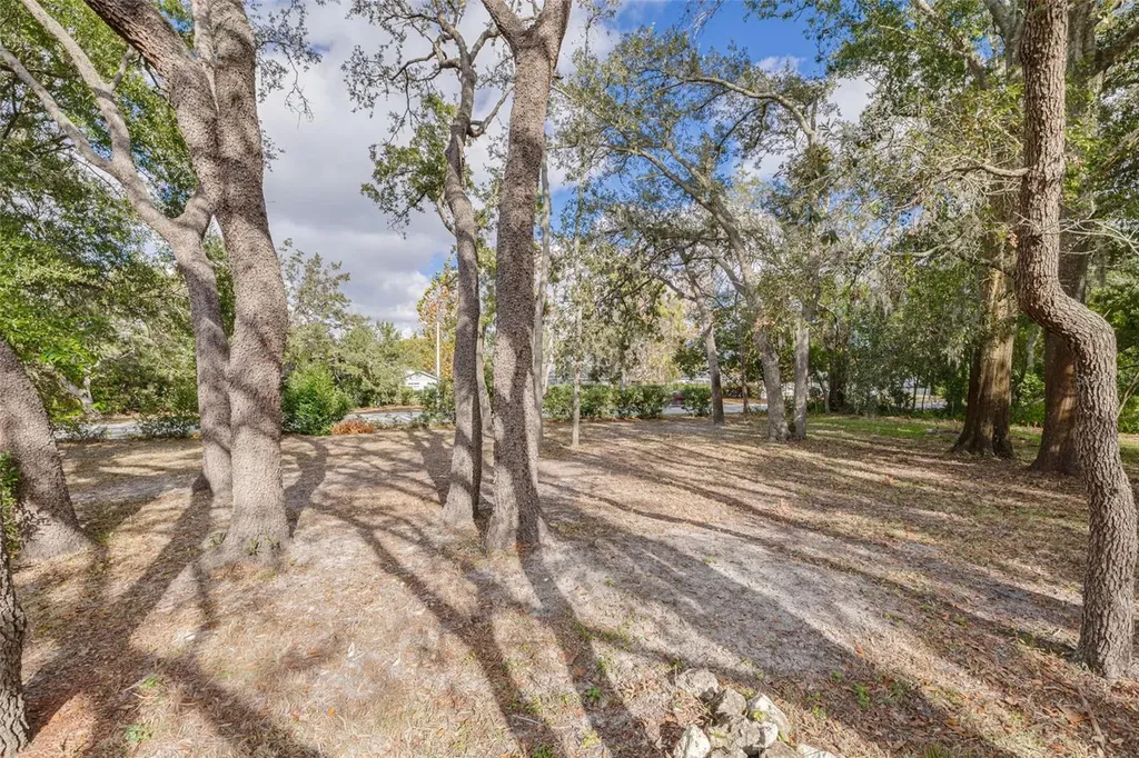 8619 Gold Pine Drive Port Richey FL 34668