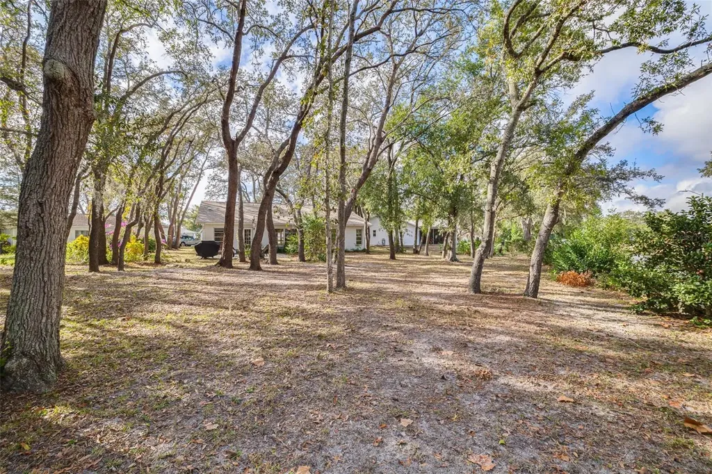 8619 Gold Pine Drive Port Richey FL 34668