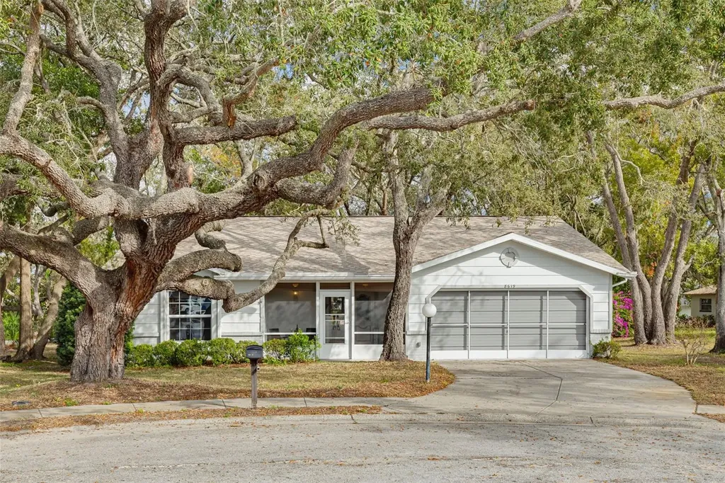 8619 Gold Pine Drive Port Richey FL 34668