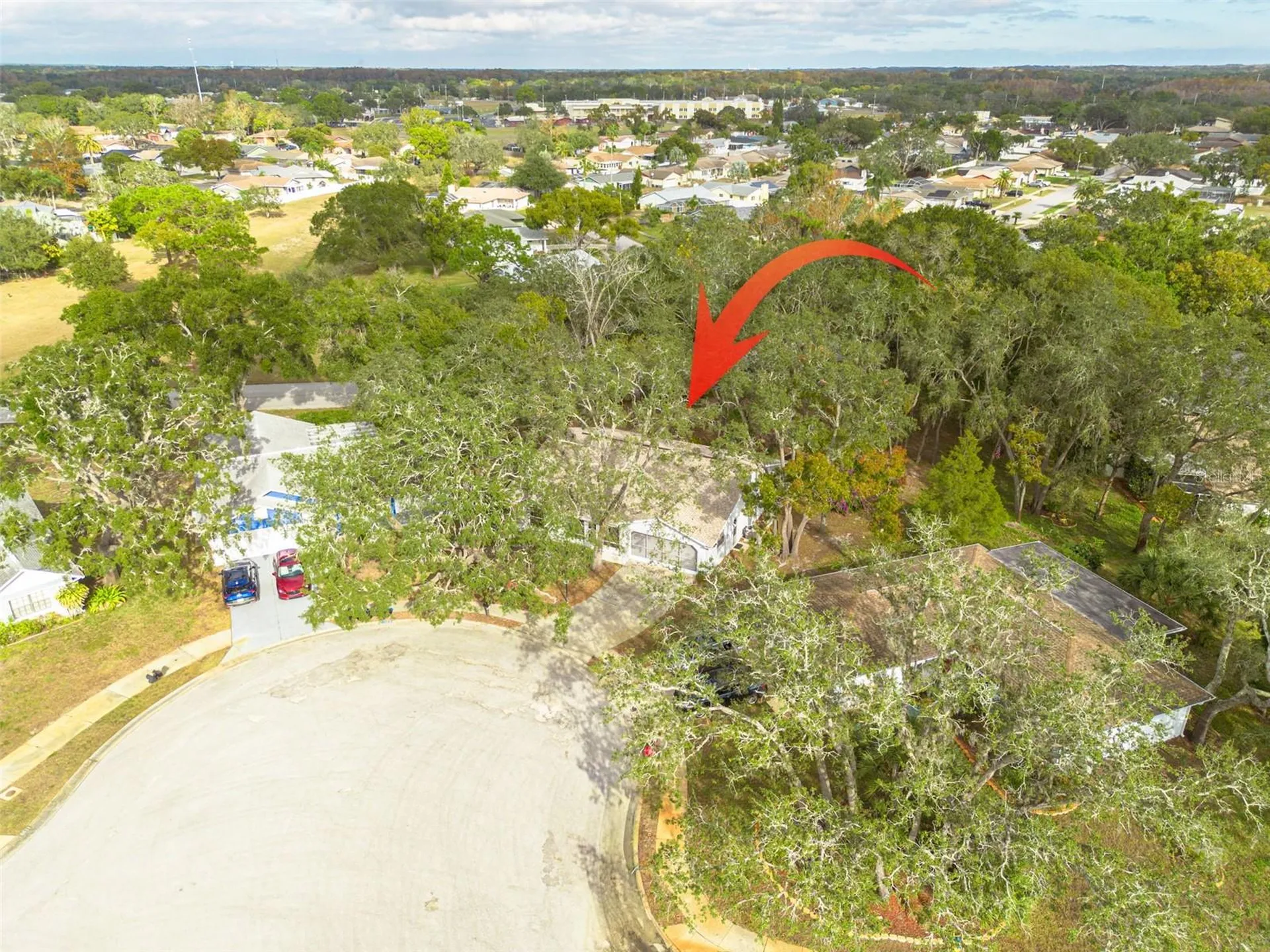 8619 Gold Pine Drive Port Richey FL 34668