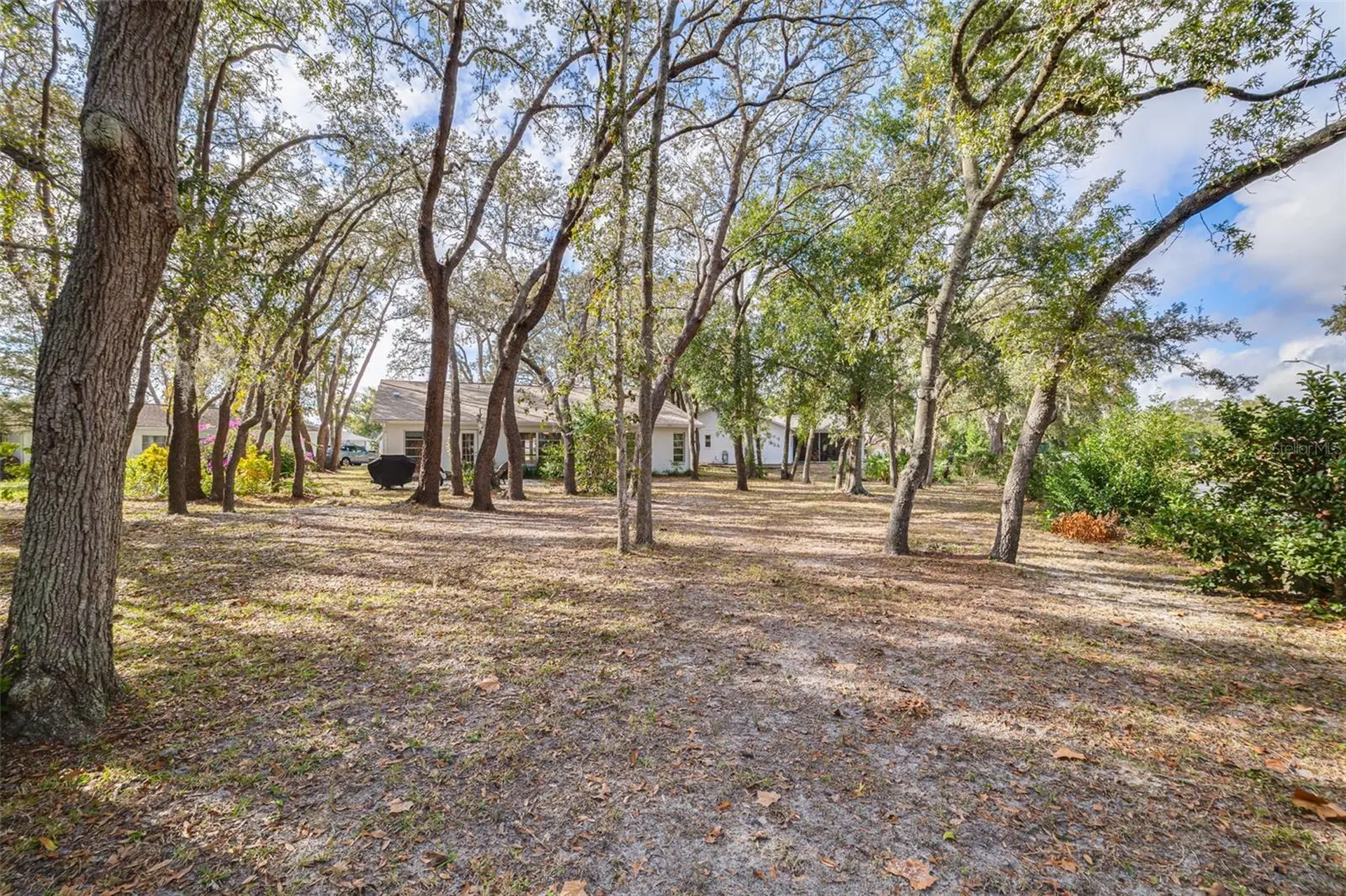 8619 Gold Pine Drive Port Richey FL 34668