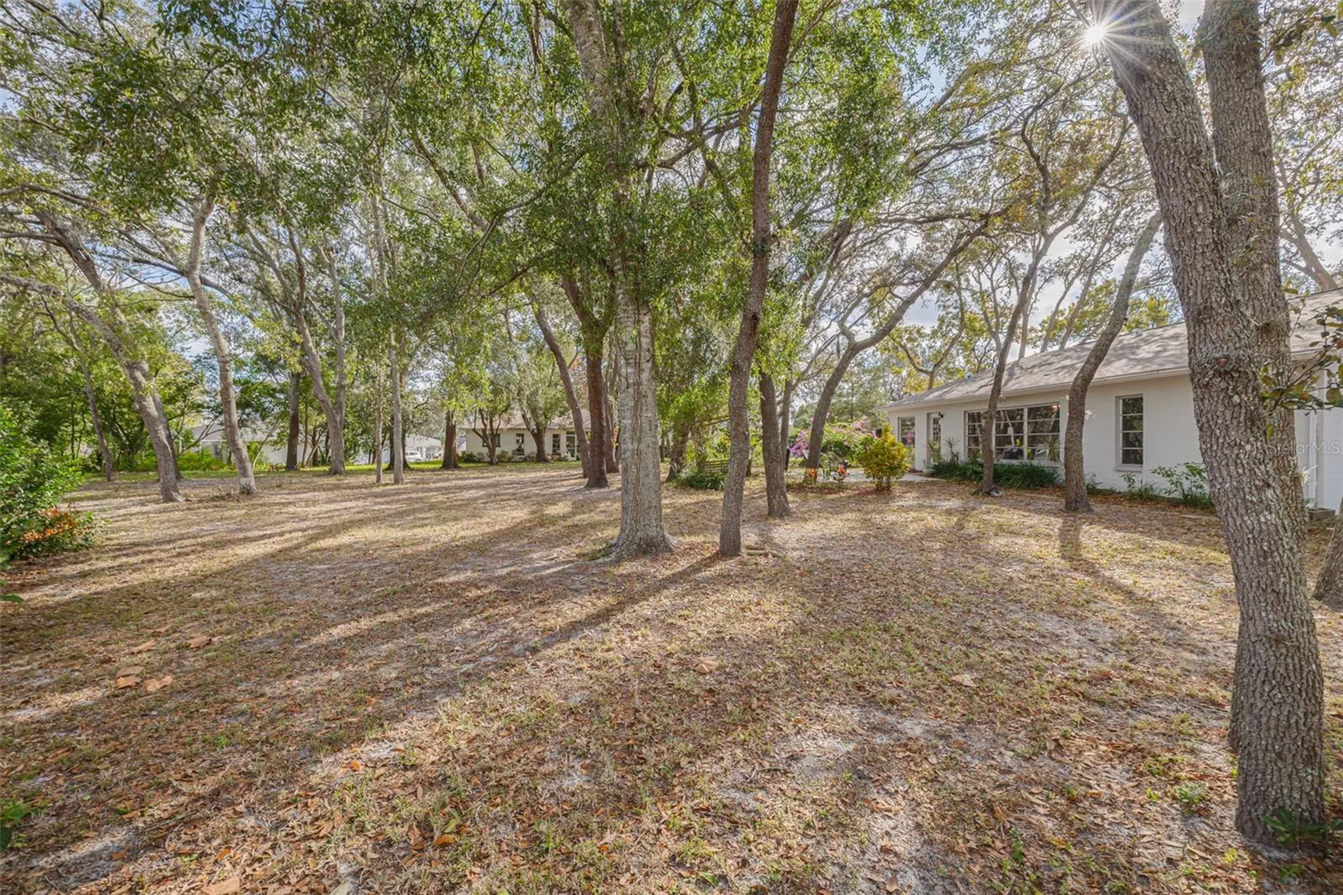 8619 Gold Pine Drive Port Richey FL 34668