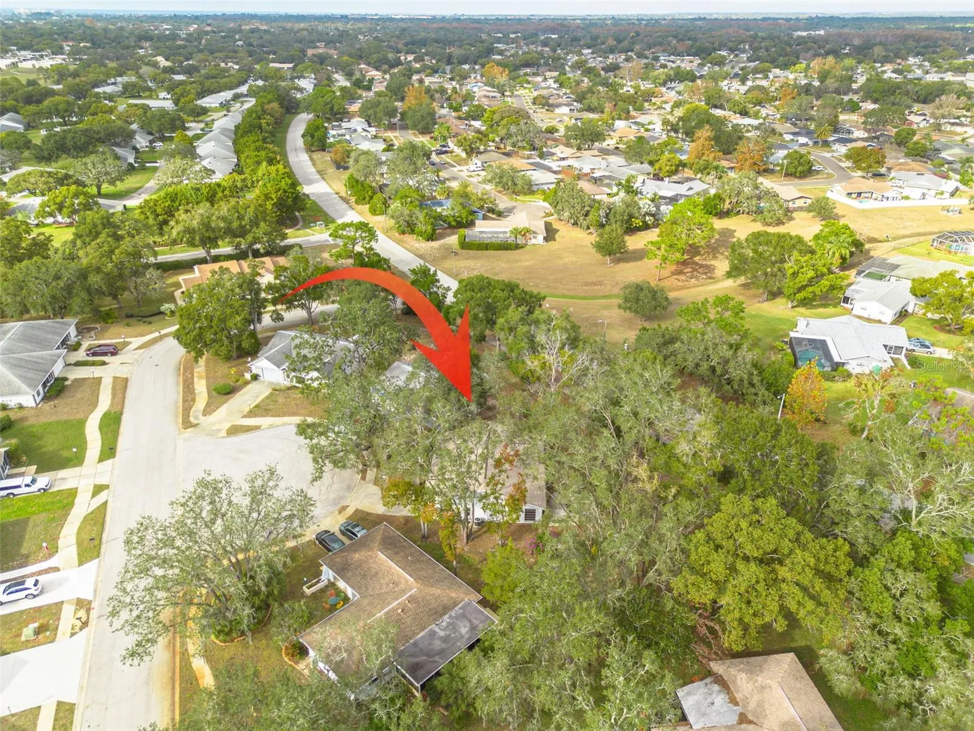 8619 Gold Pine Drive Port Richey FL 34668