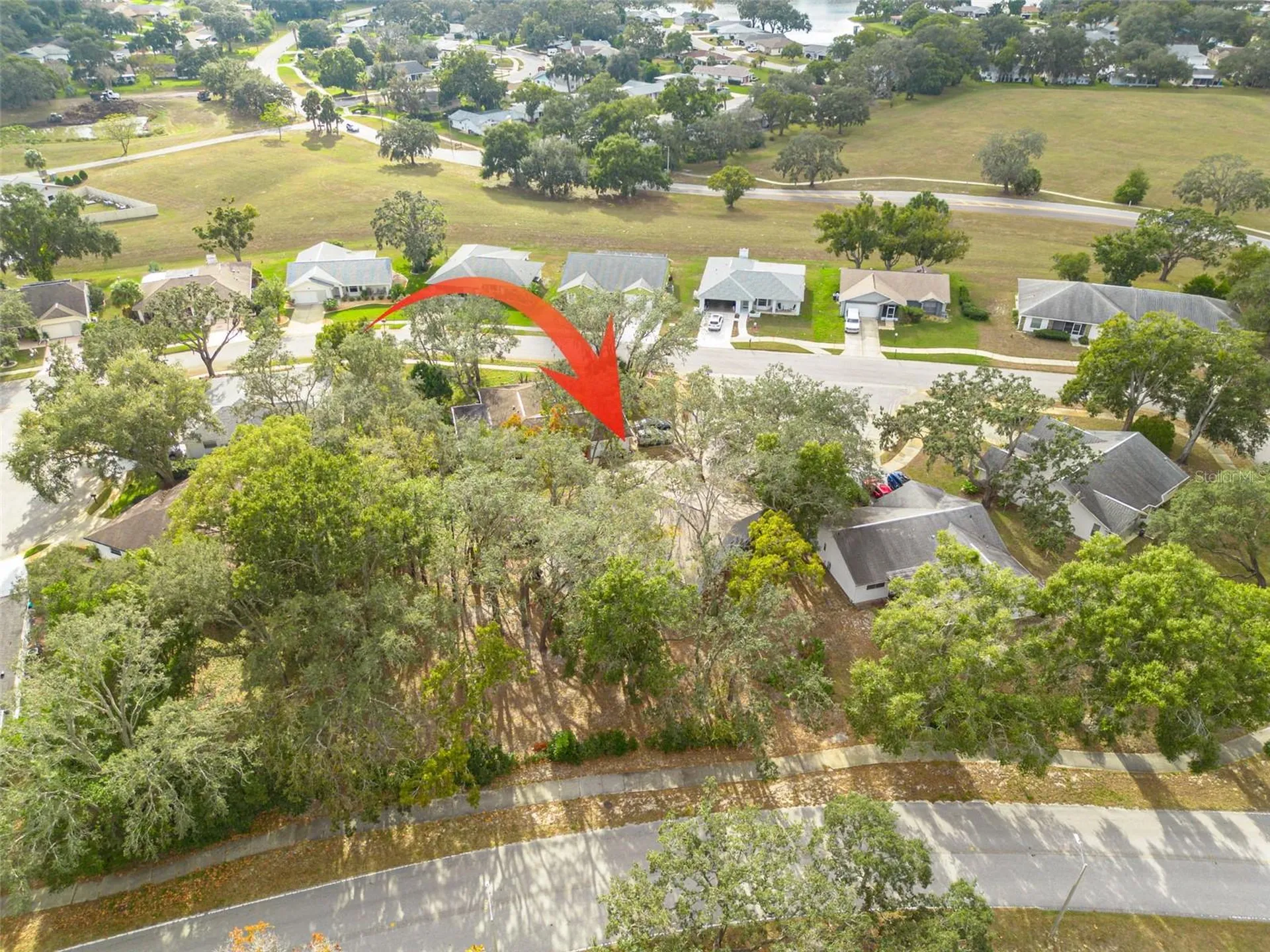 8619 Gold Pine Drive Port Richey FL 34668