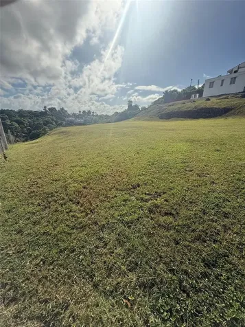 Colinas De Palmarito Arecibo PR 00612