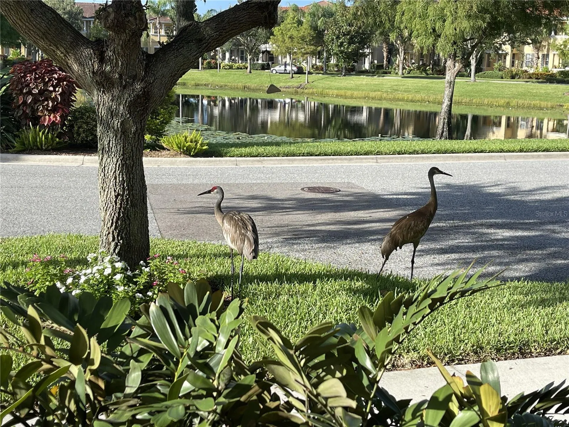 3810 82nd Avenue Circle E Sarasota FL 34243