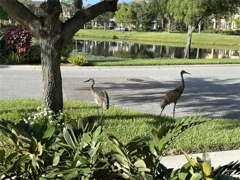 3810 82nd Avenue Circle E Sarasota FL 34243