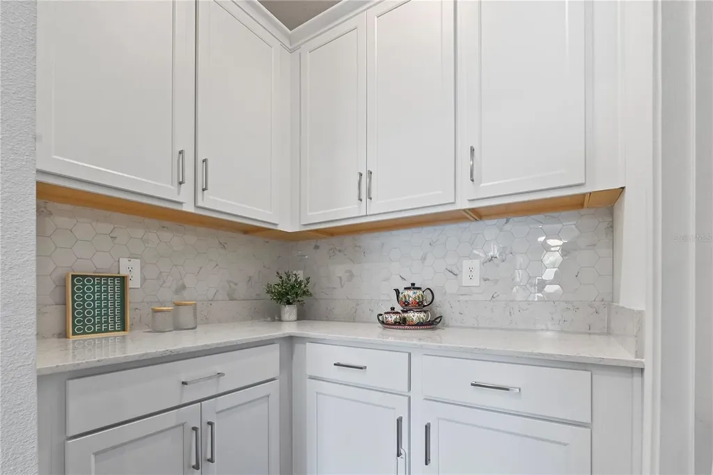 18331 Serene Lake Loop Lutz FL 33548