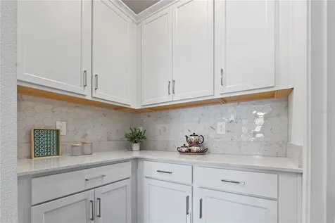 18331 Serene Lake Loop Lutz FL 33548