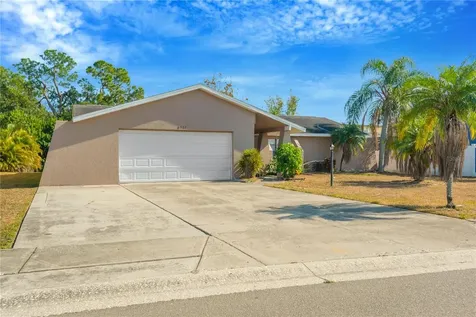 6507 Manila Palm Way Apollo Beach FL 33572