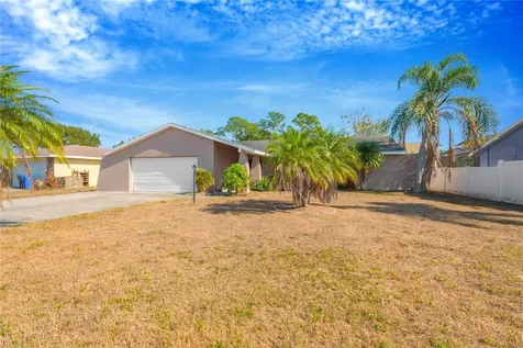 6507 Manila Palm Way Apollo Beach FL 33572