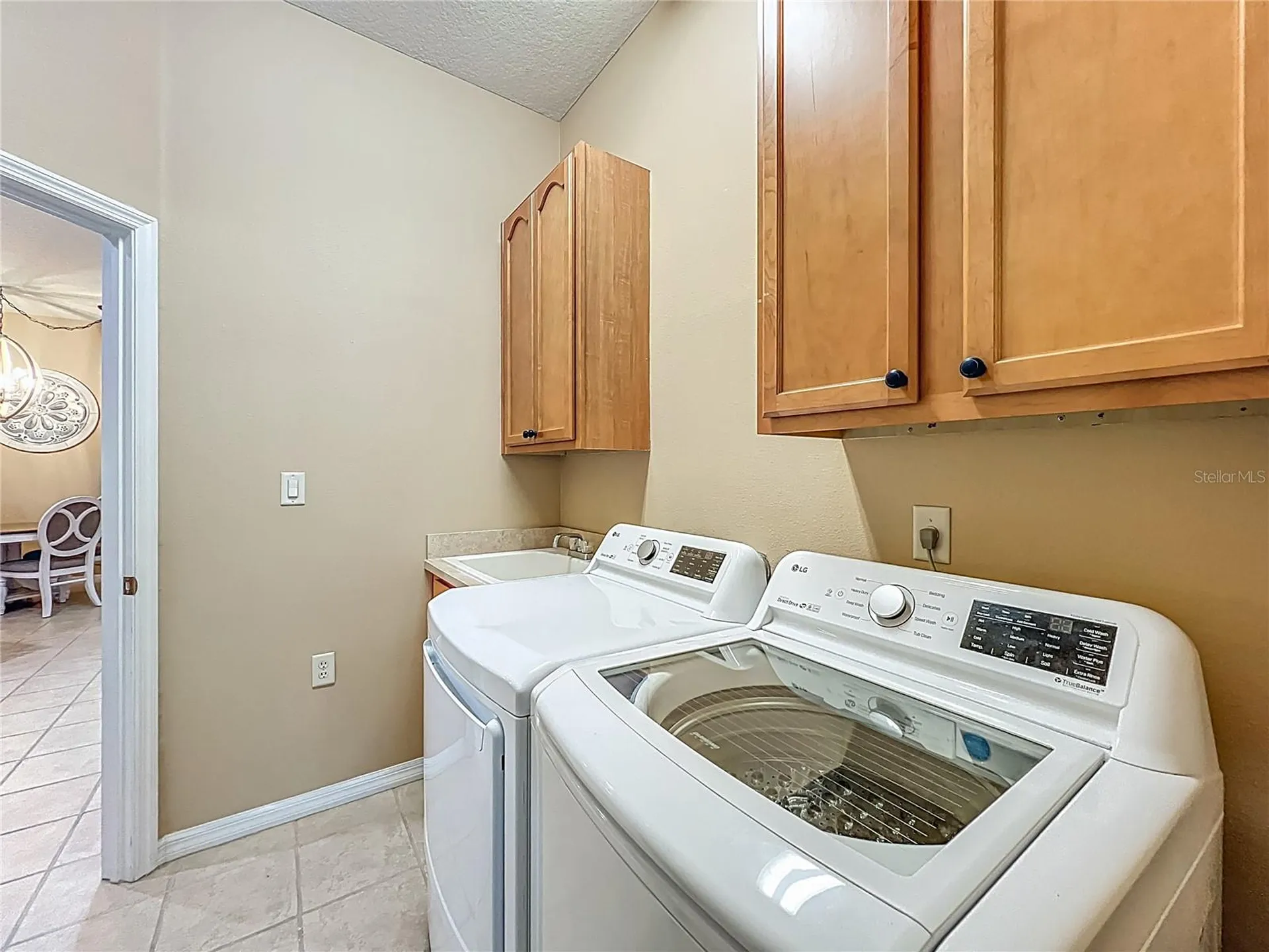 3605 Mount Hope Loop Leesburg FL 34748