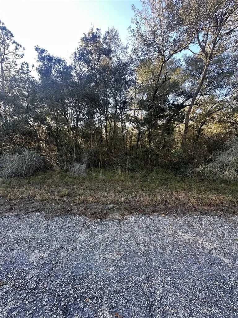 3908 W Tropic Lane Dunnellon FL 34433