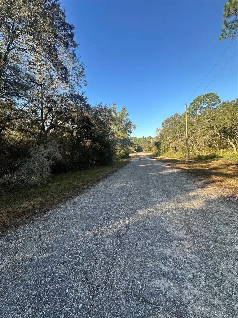 3908 W Tropic Lane Dunnellon FL 34433