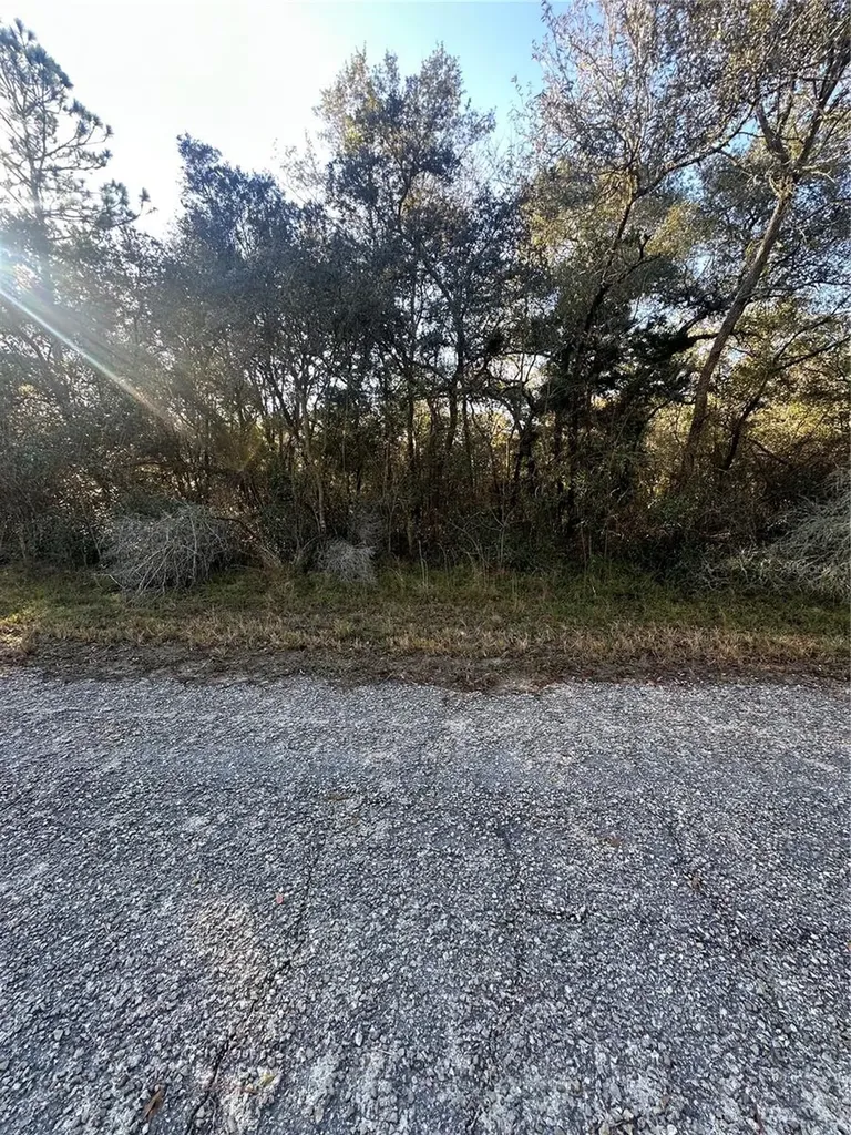3908 W Tropic Lane Dunnellon FL 34433
