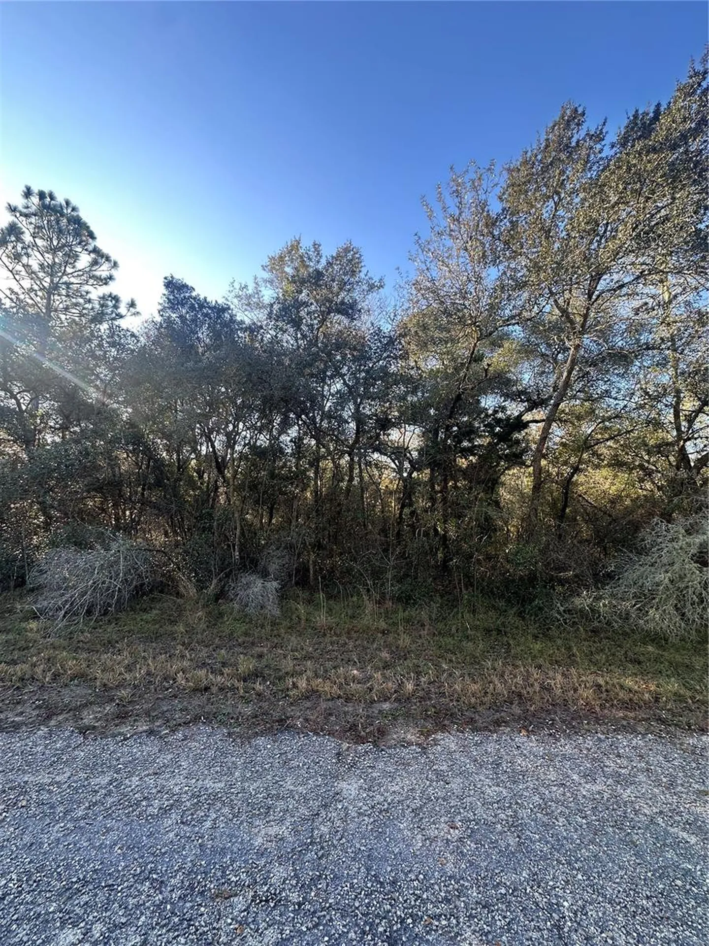 3908 W Tropic Lane Dunnellon FL 34433