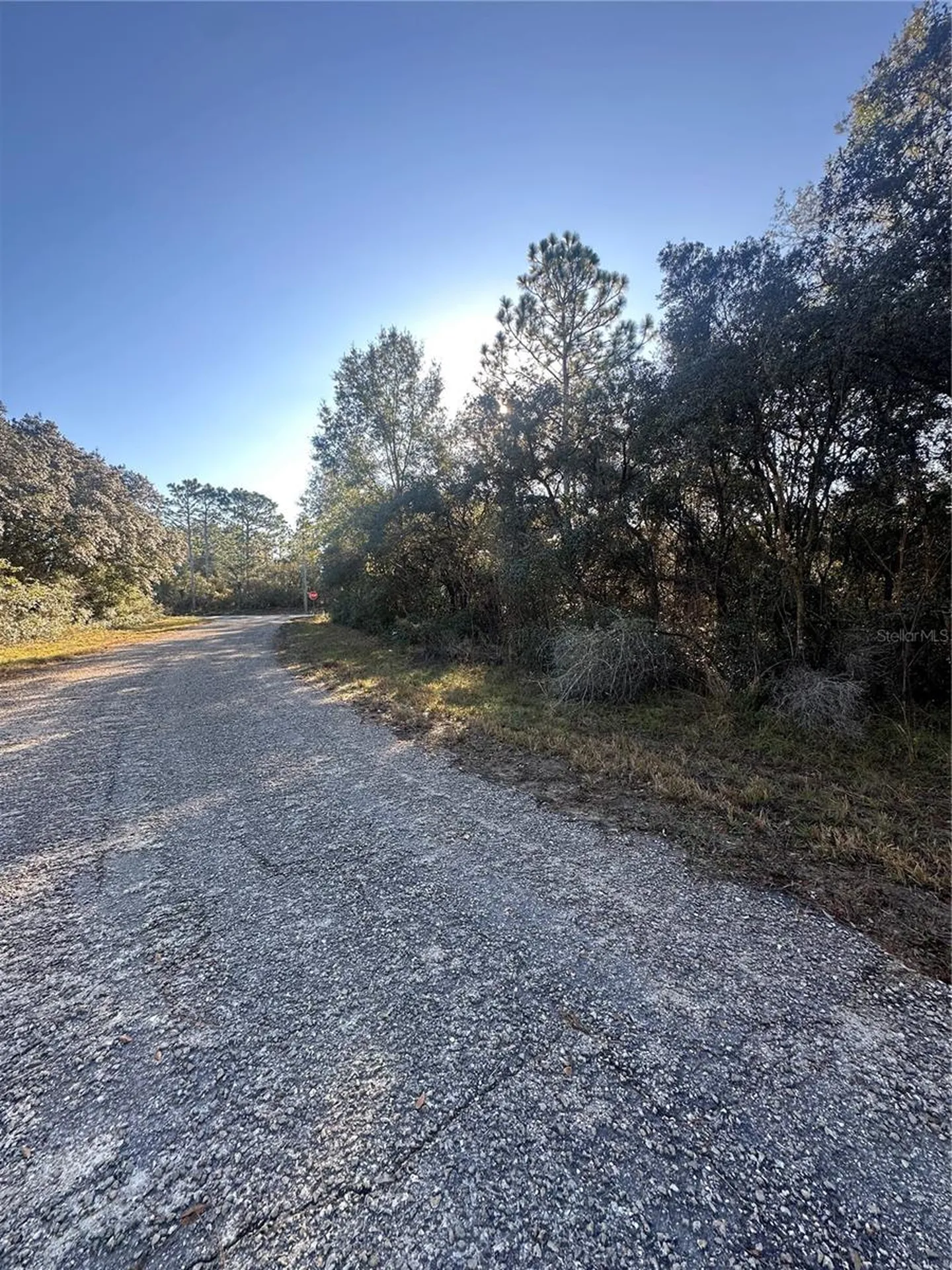 3908 W Tropic Lane Dunnellon FL 34433