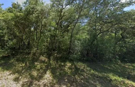 3908 W Tropic Lane Dunnellon FL 34433