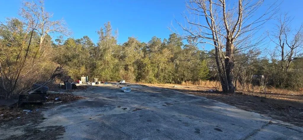 14175 SE 209th Terrace Umatilla FL 32784