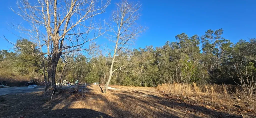 14175 SE 209th Terrace Umatilla FL 32784
