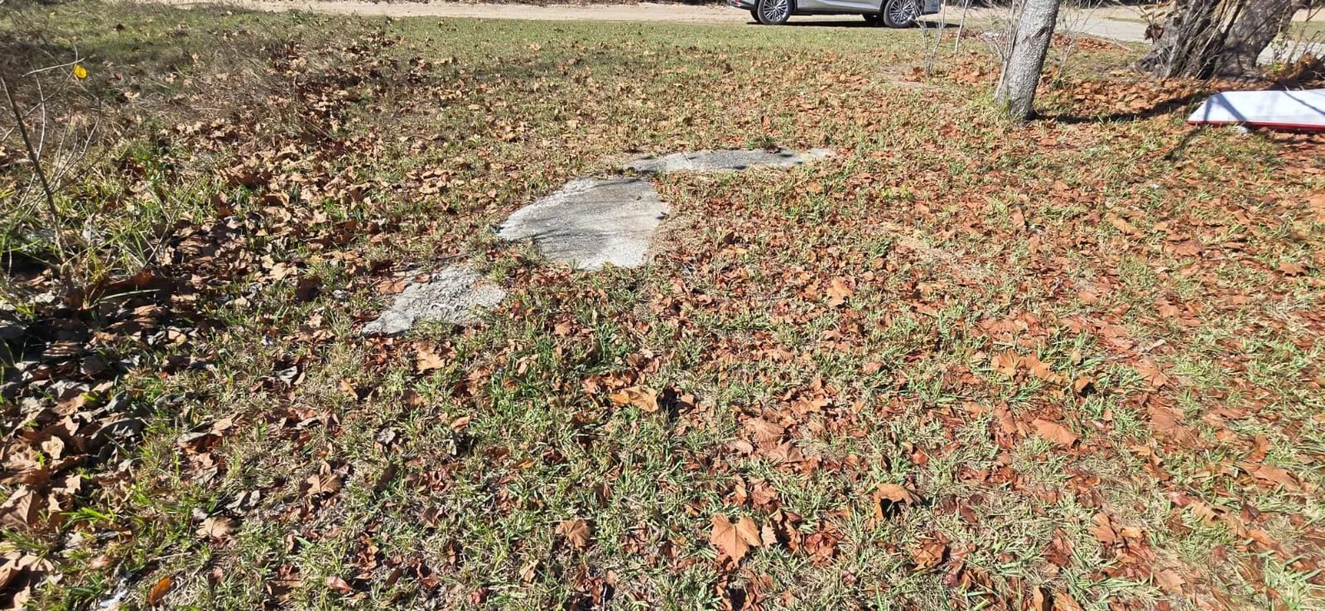 14175 SE 209th Terrace Umatilla FL 32784