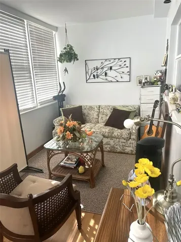 1000 79th Avenue N St Petersburg FL 33702
