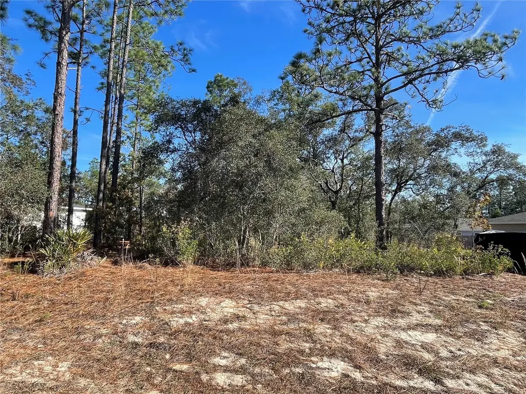 11475 N Kenney Loop Dunnellon FL 34433