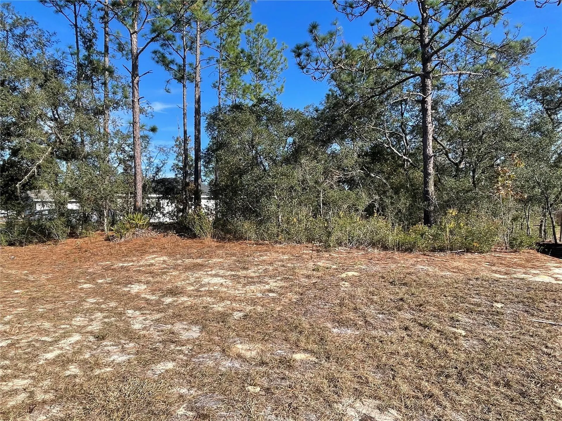 11475 N Kenney Loop Dunnellon FL 34433