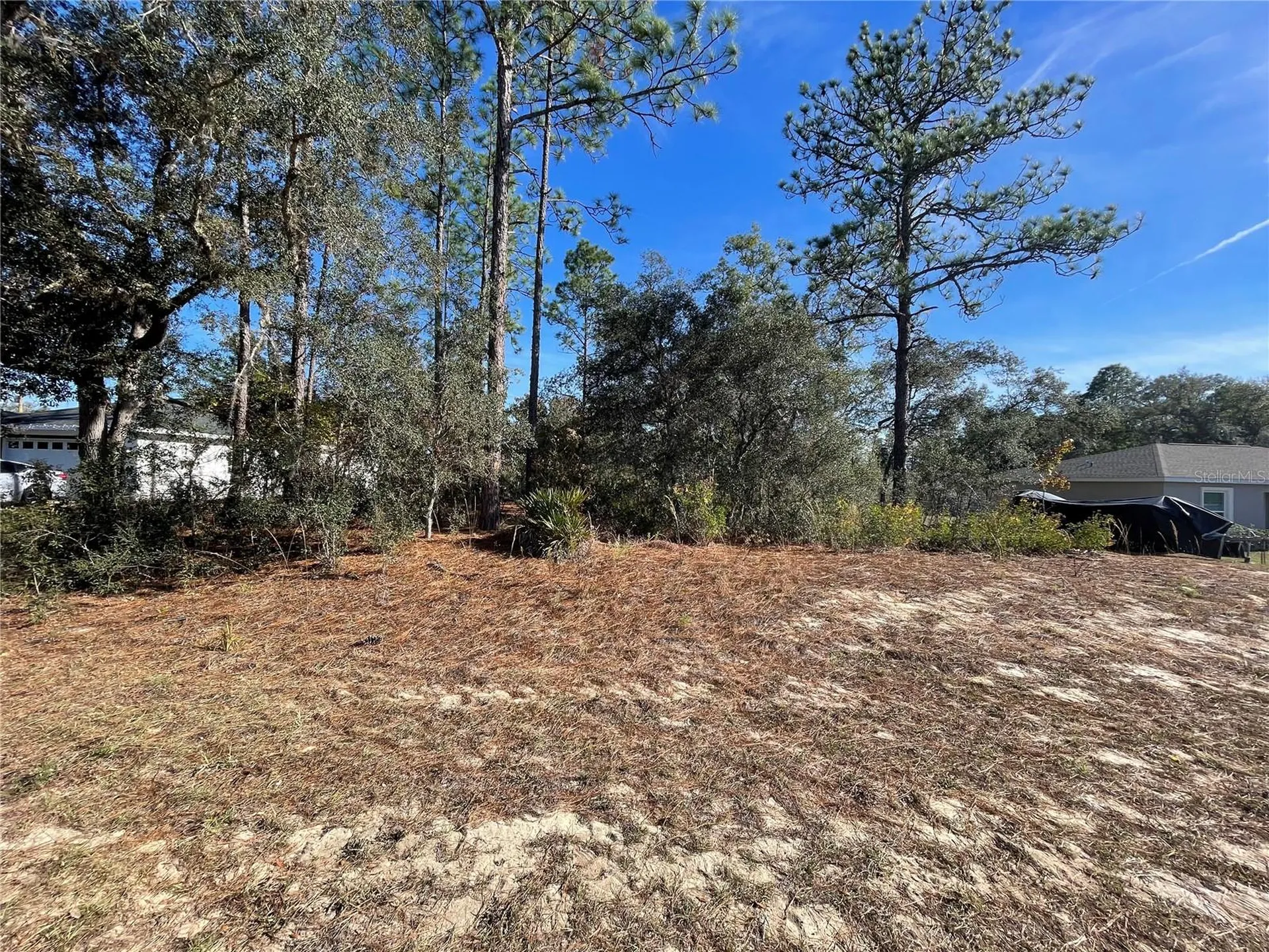 11475 N Kenney Loop Dunnellon FL 34433