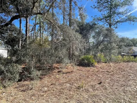 11475 N Kenney Loop Dunnellon FL 34433