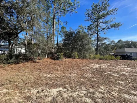 11475 N Kenney Loop Dunnellon FL 34433
