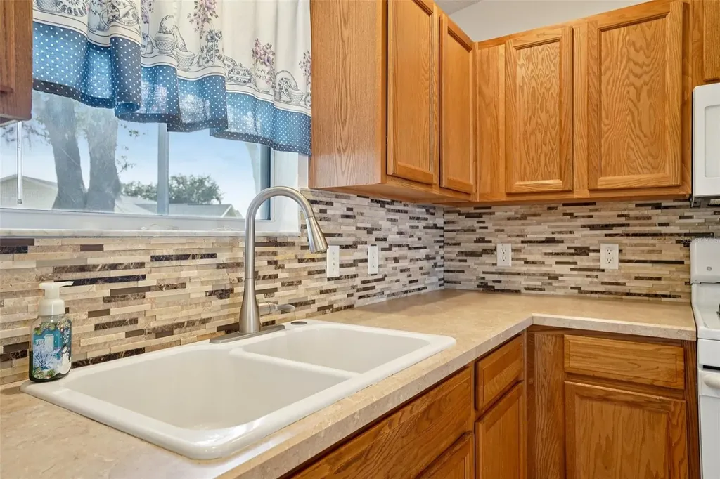 3499 Auburndale Avenue The Villages FL 32162